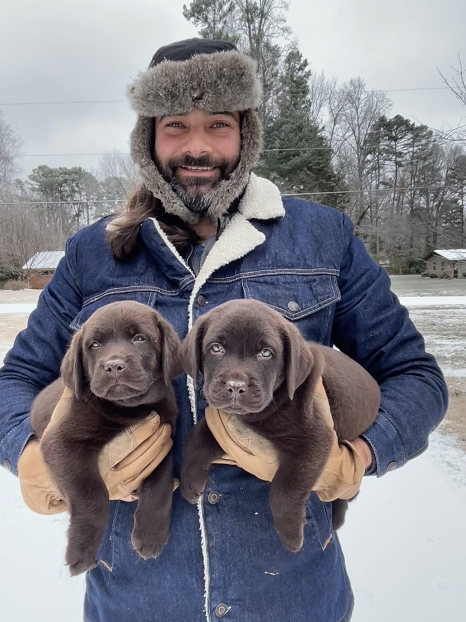 Questions to ask an English Labrador breeder